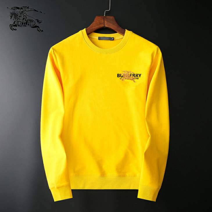 Picture of Burberry Sweatshirt _SKUBurberryM-3XL25tr31530789